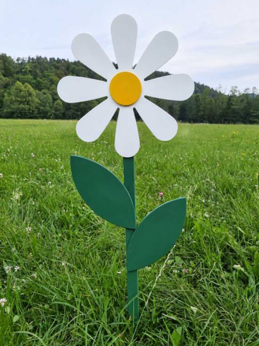 Marjetica 30 cm bele barve 625